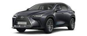 NX 350h